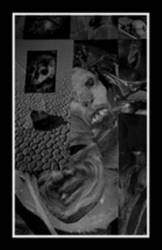 Aeoga : Palace for Vultunales